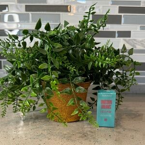 AMINNAH - Unicorn Dreams Lollipop Red Lip & Cheek Tint